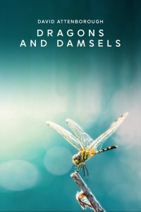 Loài Chuồn Chuồn (Dragons and Damsels) [2019]
